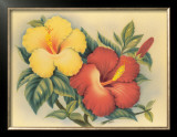 Hawaiian Hibiscus Framed Giclee Print by Eve Hawaii