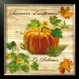 Saveurs de L'Automne, Le Potiron Prints by Noel Romero