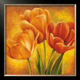 Orange Tulips II Prints by David Pedersen