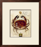 La Pince de la Mer Prints by Sabine Gotzes