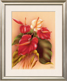 Red and White Anthuriums Framed Giclee Print by Frank Oda