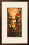 Exotic Birds II Prints by Mary Beth Zeitz