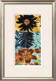 Petals and Leaves II Limited Edition Framed Print by Jaquiel 