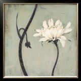 Ivory Blossom Lámina por Ivo