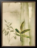 Vizcaya Ferns II Print by Muriel Verger