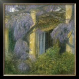 Flowering Success of Summer Posters by Piet Bekaert