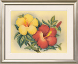 Hawaiian Hibiscus Framed Giclee Print by Eve Hawaii
