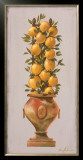 Trellis and Urn I Posters by Victoria Splendore