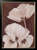 Chocolate Poppies Posters by Kaye Lake
