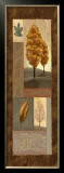 Mandarin Elements I Prints by Tom Ward