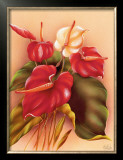 Red and White Anthuriums Framed Giclee Print by Frank Oda