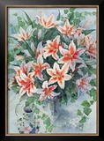 Star Gazers Print by Mae Book