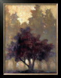Depth and Tranquility Prints by Connie Geerts