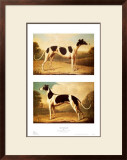 Two Greyhounds Posters by Benjamin Killingbeck