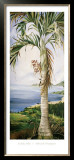 Kohala Palm Posters by Deborah Thompson