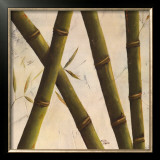 Bamboosa Guadua II Posters by Patricia Quintero-Pinto