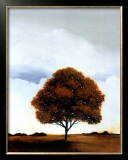 Redwood Hill Prints by Scott Steele