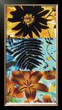 Petals and Leaves II Limited Edition Framed Print by Jaquiel 
