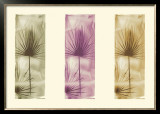 Multi-Colored Palms, Green and Purple Poster by Thomas Kalwa