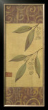Eucalyptus Leaves II Posters by Gayle Bighouse