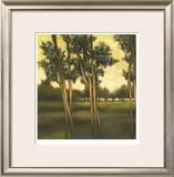Through the Trees I Limited Edition Framed Print by Larson 
