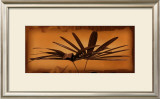 Sepia Palms II Prints by Thomas Kalwa