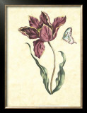 Floral Jubilee II Posters