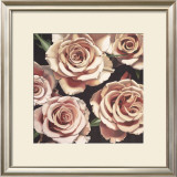 Roses Prints by Elizabeth Hellman