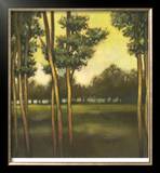 Through the Trees II Limited Edition Framed Print by Larson 