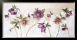 Helebores Posters by Valerie Roy