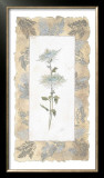 Fuji Mum Posters by George Caso