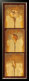 Three Calla Lilies Prints by Gabor Ulveczki