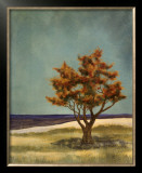 Lonely Vista Posters by Tamara Wright