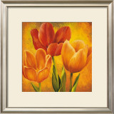 Orange Tulips I Posters by David Pedersen
