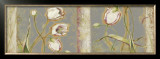 Tulip Rhapsody Prints by Lily Thomas