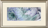 Dahlias VI Prints by Huntington Witherill