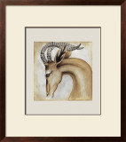 Serengeti Gerenuk Prints by Susan Hartenhoff