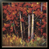 Reds Prints by Nancy O'toole