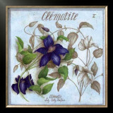 Clematite Prints by Vincent Jeannerot
