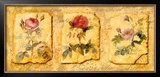 Secret Garden IV Print by Walter Kano