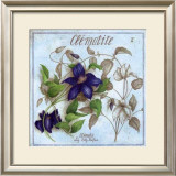 Clematite Print by Vincent Jeannerot