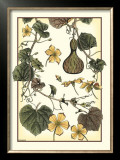 Arts and Crafts Gourd Posters by M.P. Verneuil