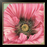 Pink Poppy Bloom Prints by Lynne Misiewicz