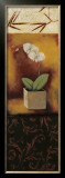 Orchid Song Posters by Rita Vindedzis