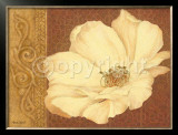 Moroccan  Flower Head Posters by Anne Searle