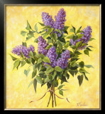 Lilac Season II Prints by Telander 
