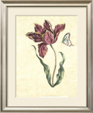 Floral Jubilee II Prints