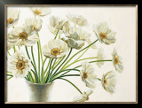 Bouquet di Anemoni Prints by Eva Barberini