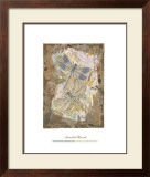 Honeycomb Dragonflies Prints by David Hewitt