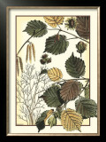 Arts and Crafts Hazelnut Prints by M.P. Verneuil